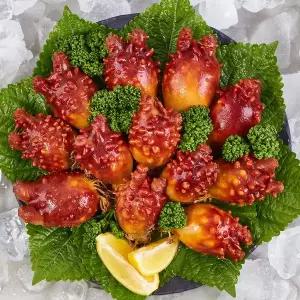 [맛딜] 바다향 가득 통영 꽃멍게(피멍게) 2kg