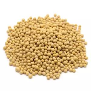 100g 콩나물콩 초등과학 식물한살이 성장 실험 씨앗