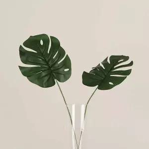 [셀러에이드]몬스테라 알보 인테리어 조화 가지 장식 플랜테리어 나뭇가지