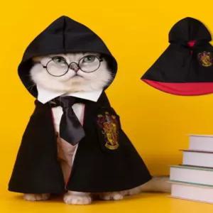 강아지 코스튬 애견 할로윈 옷