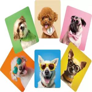 애니윈드 안경 청소용 천 - 카메라 스크린 렌즈 휴대폰 및 섬세한 표면을 위한 다양한 색상의 귀여운