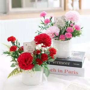 아트박스/플라워트리 카네이션 조화 화분 빛나는 set 20x22cm 장식 소품