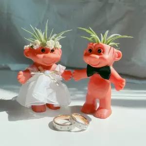 이오난사 트롤 화분 이사 집들이 기념일 커플 신혼부부 선물