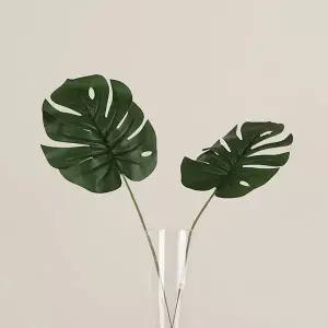 몬스테라 알보 인테리어 조화 가지 장식 플랜테리어 나뭇가지