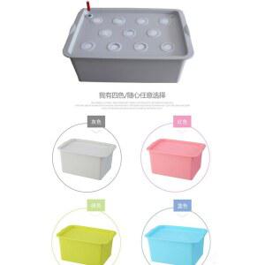 수경재배 36홀 아스파라거스 가정용 채소 키우기 키트 실내 정원 원예 용품 식물 재배기 세트