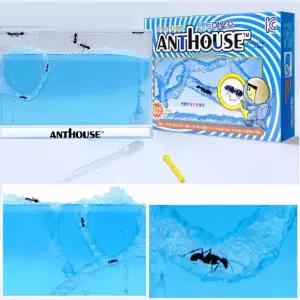 투명젤 3차원 개미집 키우기 하우스 터널 관찰키트 앤트터널 앤트빌