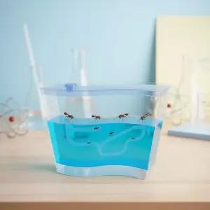 개미집 중형 삼차원 탐험 젤형태 관찰 앤트터널 키우기 사육장 앤트하우스 (중)