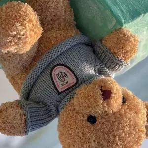 [지삼안전] 도매라인 30cm 곰 인형 선물용 봉제인형 장난감 어린이 날 선물 테디 베어 (단품)