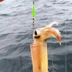 LED 라이트가 있는 오징어 훅 낚시 미끼 발광 쭈꾸미 인조 도구