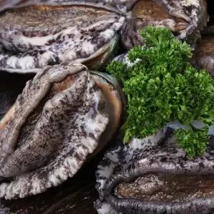 완도바다 미역과 다시마를 먹고 자란 활전복 1kg(11-12미)