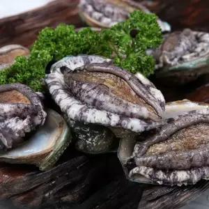 완도바다 미역과 다시마를 먹고 자란 활전복 1kg(11-12미)