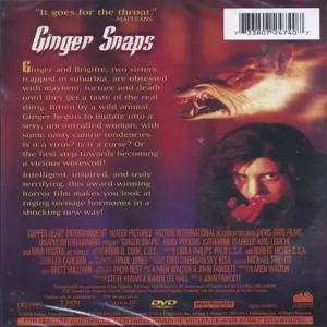 진저 스냅스 (생강 맛 쿠키)