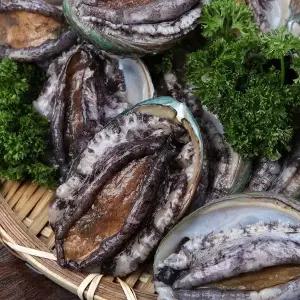 완도바다 미역과 다시마를 먹고 자란 활전복 1kg(16-17미)