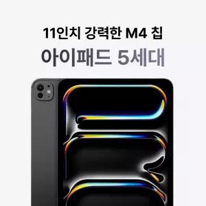 Apple 2024 아이패드 프로 11 M4 WiFi 256GB 스페이스 블랙