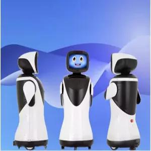 귀여운 얼굴 지능형 보행 음성 상호작용을 갖춘 AI 리셉션 로봇 호텔 레스토랑 가정 학교에 이상적인 웰컴