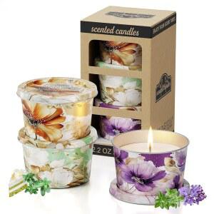 3팩 캔들 세트 여행용 의 향초 각각 2.5 10시간 이상 편안한 장시간 연소 가정 선물 명상 및 크리스마스를 위한 로운 소이