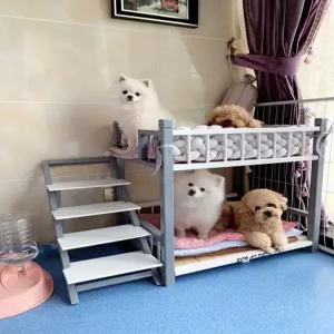 올렌토 펫쿠션 고양이이층침대 강아지침대 2층