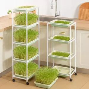 올데이프로덕트 수경재배기 화분 스마트팜 식물재배기