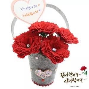 펠트 카네이션 꽃바구니 10인 포장 어버이날 스승의날 감사 선물
