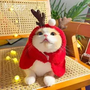 크리스마스 고양이 옷 망토 루돌프 트리 강아지