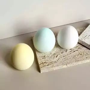 레노포프 에그 규조토 제습 탈취제 냉장고 실내 방향제 냄새먹는 달걀