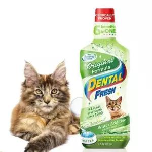 [반려] 관리 치아 섞어 물에 고양이 세정제 구강 치약 사용하는 고양이용