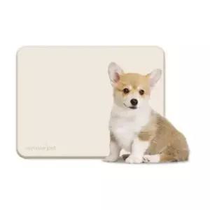 [반려] 1P 베이지 논슬립 배변매트 표준형 강아지 실리콘