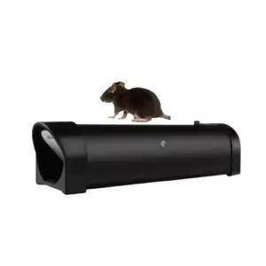 두더지 잡기 쥐? 트랩 포획 상자 쥐 함정 터널 주방 방역 포획틀