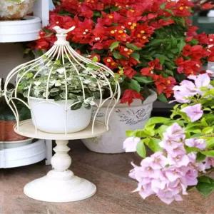 해이프 빈티지 카페 북유럽 받침대 서빙 스테인레스 찻잔