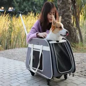 강아지 산책가방 바퀴달린 중형견 이동가방