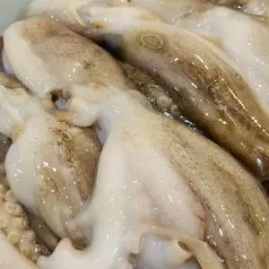 특대 2kg 알쭈꾸미 냉동