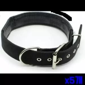 [반려] 목줄 애견 강아지 강아지리드줄 산책용 대형견용 X5개