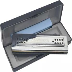 C G 양면 트레몰로 하모니카 마우스 오르간 목관 악기의 프로페셔널 스완 24홀 열쇠