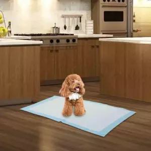 배변패드 애견 훈련 화장실 일회용 매트 기저귀용품