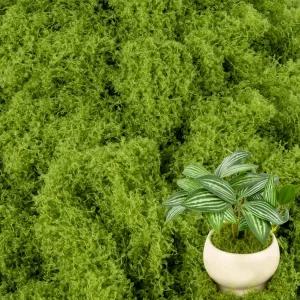 3.53온스 가짜 녹색 이끼 - 식물을 위한 MAQIHAN 인공 실내 인조 잔디 화분용 장식 공예 예술 결혼