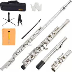 밴피 폐쇄 홀 C 플루트 16 키 케이스 스탠드 장갑 튜닝봉(실버)이 있는 초보 학생용 악기용 니켈 도금