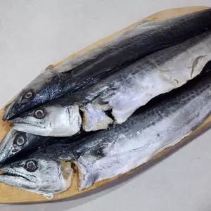 국내산 손질 삼치 4미 [BKO41614]