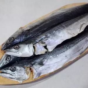 국내산 손질 삼치 3미 [BOD53685]