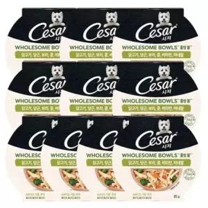 어덜트사료 강아지 건강식 사료 홀썸볼 닭고기 당근 반려견 영양간식 85g