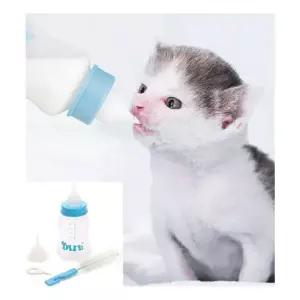 애완동물 젖병 세트 강아지 고양이 반려동물 150ml 애완동물 접병세트 강아지젖병