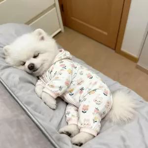 고양이 겨울 잠옷 산호융 고양이옷 플리스 파자마 실내용