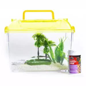 소라게 키우기 세트 (중)