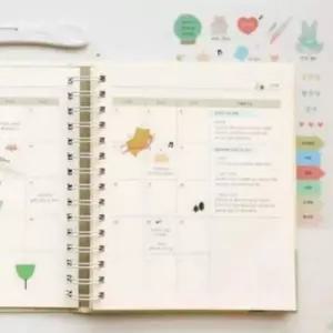 [문구/오피스] 임신다이어리 초음파앨범 초음파사진보관 성장앨범