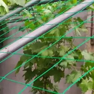 원예용 유인망 포도 농사 그물 정원 식물 지지대