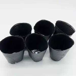 다육식물 화분 9호 플라스틱 새싹 모종 기르기 트레이 포트