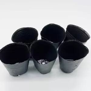 다육식물 화분 9호 플라스틱 새싹 모종 기르기 트레이 포트
