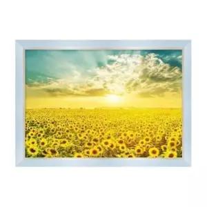 1000피스 1000피스퍼즐 해바라기 들판의 일출 모던블루액자