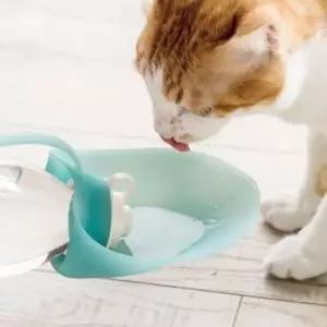 [반려] 휴대용 반려동물 물통 강아지 고양이 나뭇잎 디자인