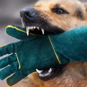 [반려] 강아지 애견 훈련 물림 방지 장갑 동물 개 보호 안전 고양이 할큄 소가죽 대형견 용접 내열