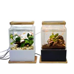 아우얼스룸 어항 미니 모던 우드 구피 초보 입문 열대어 관상어